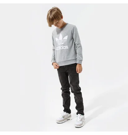 Свитшот детский Adidas Trefoil Crew B Grey GD2709
