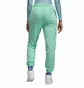 Штаны женские Air Jordan Essentials Green Dn4575-379