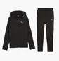 Спортивный костюм женский Puma Evostripe Black 681670-01__681672-01
