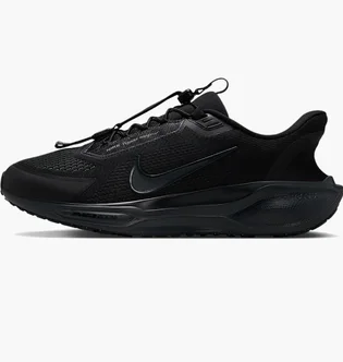 Кроссовки мужские Nike Pegasus Easyon Black FQ7837-001