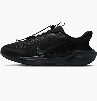 Кроссовки мужские Nike Pegasus Easyon Black FQ7837-001