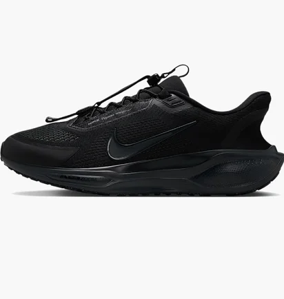 Кроссовки мужские Nike Pegasus Easyon Black FQ7837-001