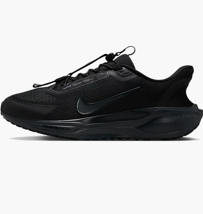 Кроссовки мужские Nike Pegasus Easyon Black FQ7837-001
