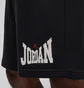 Шорти чоловічі Air Jordan Brooklyn Black HV1843-010