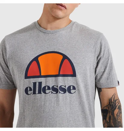 Футболка мужская Ellesse Dyne Tee Grey SXG12736-112