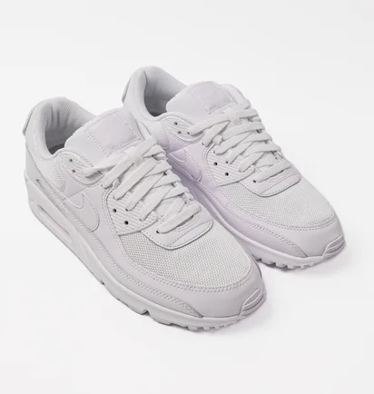 Кросівки чоловічі Nike Air Max 90 White CN8490-100
