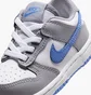 Кроссовки детские Nike Dunk Low (Td) Grey FB9107-121