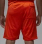 Шорти чоловічі Air Jordan Flight Mvp Mesh Shorts Red Dv7602-817