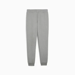 Штани чоловічі Puma Ess Logo Grey 686784-03