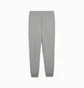 Штаны мужские Puma Ess Logo Grey 686784-03