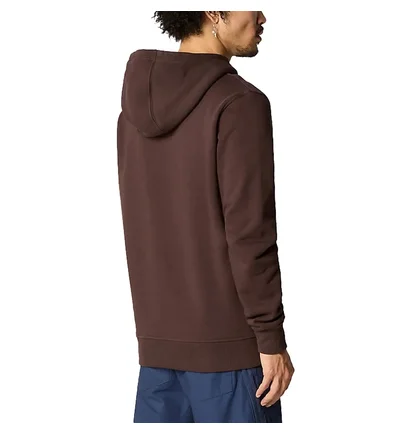 Худи мужское The North Face Drew Peak Hoodie Brown NF00AHJYI0I