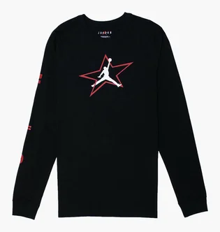 Лонгслів чоловічий Air Jordan Aj6 Graphic Long Sleeve Men’S T-Shirt Black DD5231-010