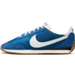 Кроссовки мужские Nike Pacific MenS Shoes Blue HQ2052-402