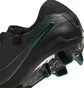 Бутси унісекс Nike Legend 10 Pro Fg Black DV4333-002