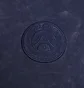 Худи мужское Nike Psg Club Blue FQ3005-410