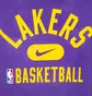 Футболка чоловіча Nike T-Shirt Lal M Nk Df Es Prt Gpx Ss Tee Nba Violet DA5925-547