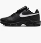 Кросівки жіночі Nike Air Max Plus «Tiempo» Black HF0074-001