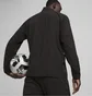 Олимпийка мужская Puma Teamgoal Sideline Jacket Black 658622-03