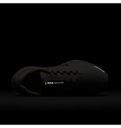 Кросівки жіночі Nike W Pegasus 41 Gore Tex Beige FQ1357-100
