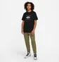 Штаны мужские Air Jordan Essentials Green DA9820-222