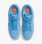 Кросівки чоловічі Nike Dunk Low Sb Blue FJ1674-401