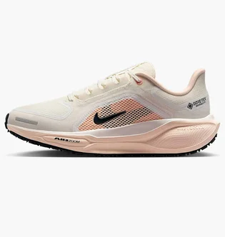 Кросівки жіночі Nike W Pegasus 41 Gore Tex Beige FQ1357-100