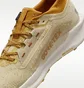 Кроссовки женские Nike Reactx Pegasus Trail 5 Gtx Sp Beige HQ7494-700