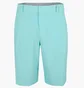 Шорты мужские Nike Dry Hybrid Golf Turquoise Cu9740-307