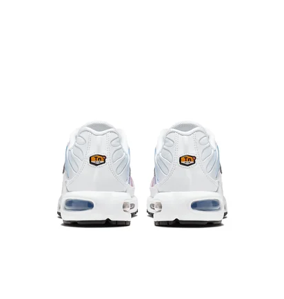 Кроссовки женские Nike Air Max Plus Multi 605112-115