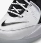 Кросівки чоловічі Nike Air Zoom Flight 95 White Dv0820-100