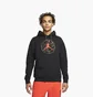 Худи мужское Air Jordan Essentials Mountainside Graphic Pullover Hoodie DC9727-010