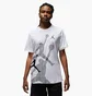 Футболка мужская Air Jordan Brand Ss Crew White FN6025-100
