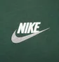 Худи мужское Nike Club Fleece+ French Terry Hoodie Green FB7788-323