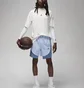Шорты мужские Air Jordan Dri-Fit Sport Light Blue DZ0573-425