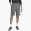 Шорти чоловічі Nike Mens Graphic Shorts Grey Bv2721-071