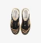Кросівки жіночі Premiata Quinn Var.7656 Black/Brown QUINND-7656