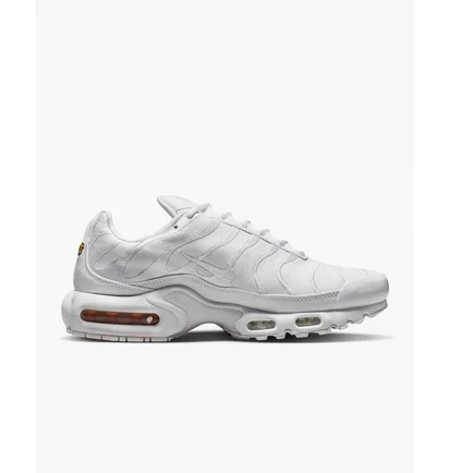 Кроссовки мужские Nike Air Max Plus White Aj2029-100