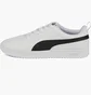 Кросівки чоловічі Puma Rickie White 387607-02