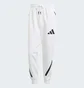 Штаны мужские Adidas Z.N.E. Tracksuit Bottoms White JF2449