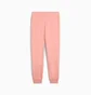 Штаны женские Puma Class Sweatpants Peach 685037-18