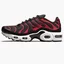 Кросівки дитячі Nike Air Max Plus (Gs) Black/Red CD0609-200