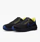 Кроссовки мужские Nike Air Zoom Pegasus 39 Black DZ4846-001
