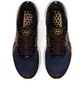 Кросівки чоловічі Asics Gt-2000 10 Blue 1011B185-403