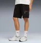Шорти чоловічі Puma Essentials Logo Lab Black 692030-01