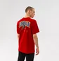 Футболка чоловіча Air Jordan Jumpman Graphic Red DM3217-687