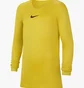 Термобелье детское Nike Y Nk Df Park 1Stlyr Jsy Ls Yellow Av2611-719