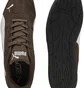 Кроссовки женские Puma Replicatch Sd Brown 405097-04
