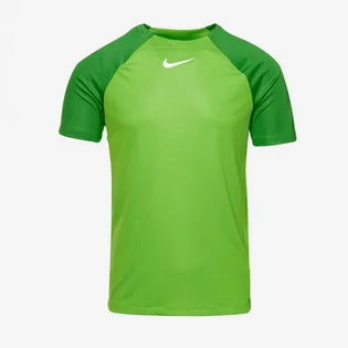Футболка мужская Nike Dri-Fit Academy Pro Ss Top Green DH9225-329