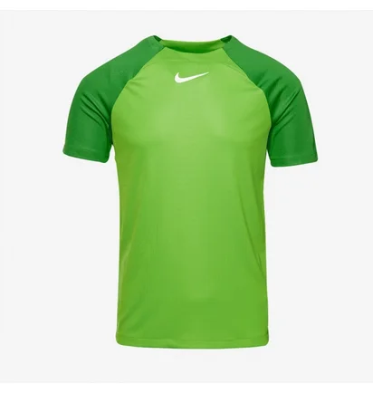 Футболка мужская Nike Dri-Fit Academy Pro Ss Top Green DH9225-329