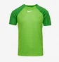 Футболка мужская Nike Dri-Fit Academy Pro Ss Top Green DH9225-329